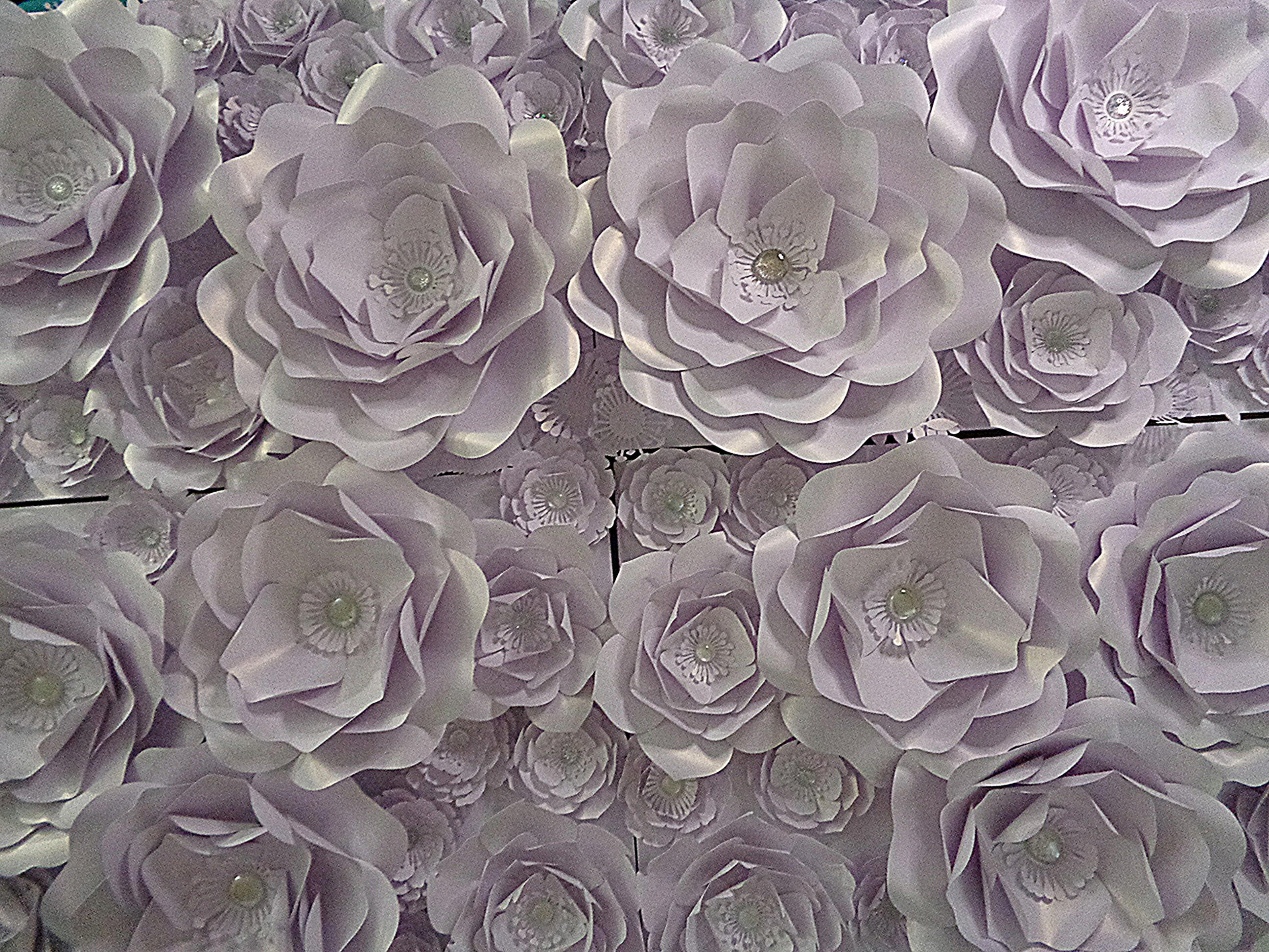 Romantic Whimsy Series