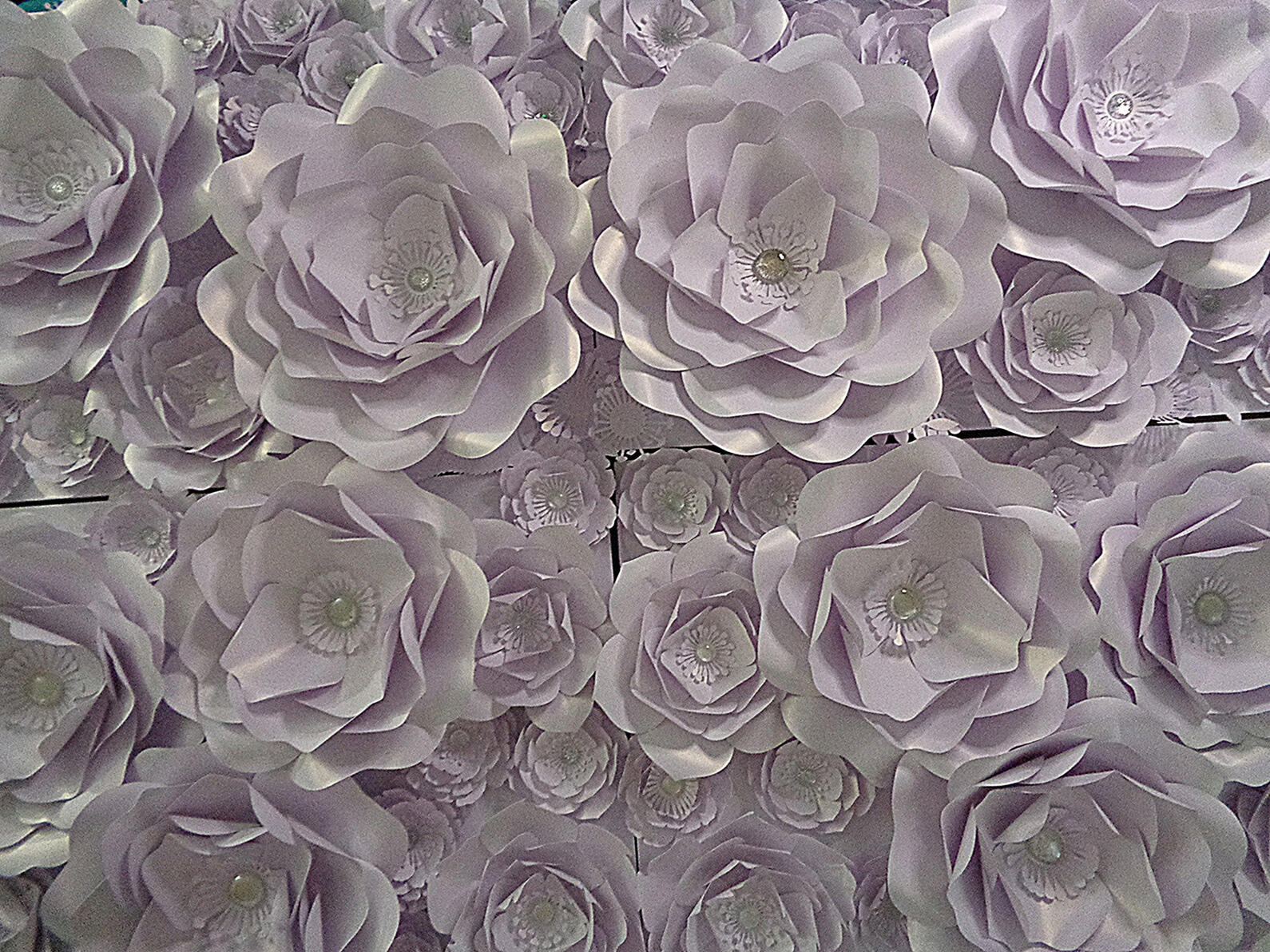 Romantic Whimsy Series